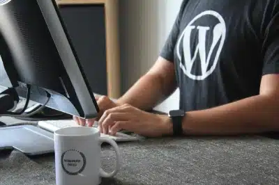WordPress Service und Support